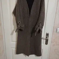 تعدادی پالتو و بارونی