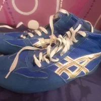 کفش و دو بنده کشتی