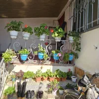 فروش-ویلایی-با-سند-تک-برگ