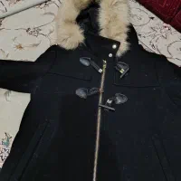 پالتو