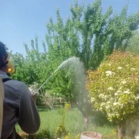 کلیه خدمات باغبانی درختکاری هرسکاری شخم زنی