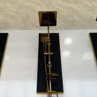 شیر شاوری و علم دوش یونیورست