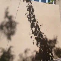 نوپان خام 2در3متربا ضخامت۱سانتی متر
