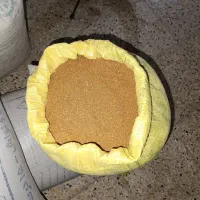 بذر کاملینا