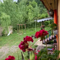 کلبه چوبی در دل طبیعت|اجارهٔ کوتاه‌مدت ویلا و باغ|ماسوله, |دیوار