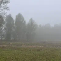 زمین باغ  در منطقه گردشگری بولاغلار نیر (اردبیل)