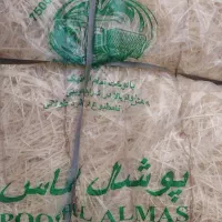 فروش پوشال کولر زیر قیمت بازار