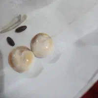 جواهرات