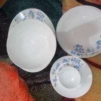 دودست اکوپال فروشی