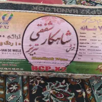 فرش تبریز700شانه