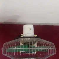 پنکه قدیمی|پنکه و تصفیهکنندهٔ هوا|یزد, |دیوار