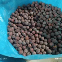 عناب و حبه|خوردنی و آشامیدنی|مشهد, ولیعصر (شهرک غرب)|دیوار