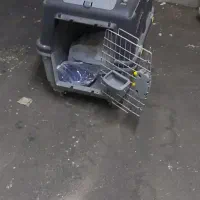 باکس حمل پت