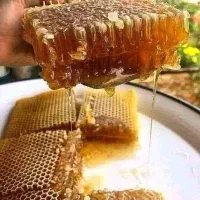 عسل چهل گیاه اردبیل|خوردنی و آشامیدنی|کاشان, فاز ۲ ناجی آباد|دیوار