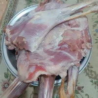 گوشت گوسفند