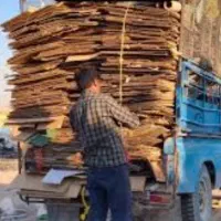 ضایعات کارتن.کاغذباطله.پلاستیک.9شب از درب فروشگاه