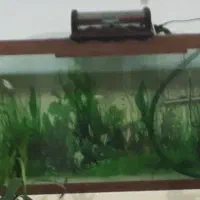 آکواریوم ۱.۵ ×۳۵ ارتفاع۶۵