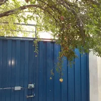 اجاره روزانه/ماهانه و سالیانه سوییت توشن۱۲۰ متری|اجارهٔ کوتاهمدت آپارتمان و سوئیت|گرگان, |دیوار