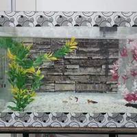 آکواریوم دست دوم 18 لیتری