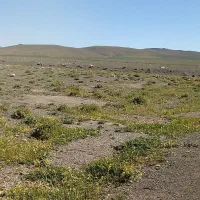 فروش یک قطعه زمین در روستای جوزان