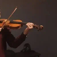 مدرس ساز ویلن مبتدی تا حرفه‌ای