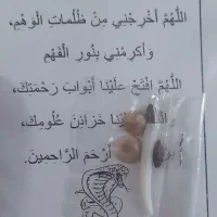 مهره اصل باتخفیف ۸۰۰هزار|بدلیجات|کاشان, امیرکبیر|دیوار