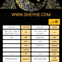 مادیون گیشنیز|اسب و تجهیزات اسب‌سواری|مسجد سلیمان, |دیوار