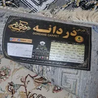 فرش 12 متری نو|فرش|قم, پردیسان|دیوار