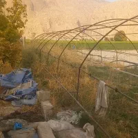 گلخانه