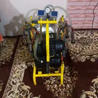شیردوش گاوی