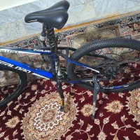 دوچرخه|دوچرخه، اسکیت، اسکوتر|تربت‌حیدریه, کلاته توکلی|دیوار