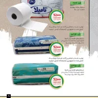 دستمال کاغذی|مواد شوینده و دستمال کاغذی|اصفهان, نقش جهان|دیوار