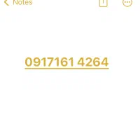 خط یک بندر زیر قیمت واقعی