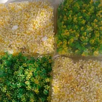 گیاه مصنوعی