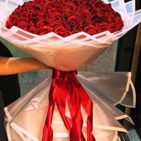 گل روبانی کادویی شاین دار