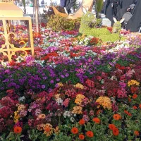 کار آنلاین