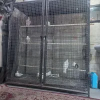 قفس حیوانات