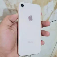 iPhone 8 GB 64