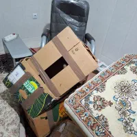 کارتن موزی