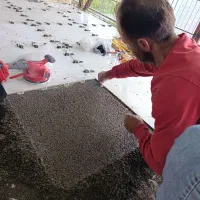 کار ساختمانی از صفر تاصد|استخدام معماری، عمران و ساختمانی|تولم شهر, |دیوار