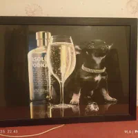 لوازم فروشی|صوتی و تصویری|کرج, باغستان|دیوار