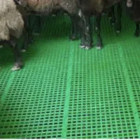 پالت پلاستیکی دامداری یا مرغداری