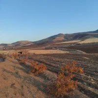 زمین کشاورزی مناسب خانه باغ