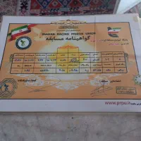 پلاکی مسافتی|پرنده|دهبکری, |دیوار