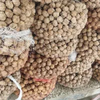 گردو خشک درجه یک به نرخ عمده