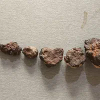 شهاب سنگ|کلکسیون اشیاء عتیقه|دامغان, |دیوار