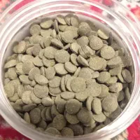 لوازم آکواریوم در حد نو|ماهی|قائن, |دیوار