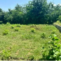 ۲۱۸متر زمین مسکونی باسند|فروش زمین و ملک کلنگی|رضوانشهر, |دیوار