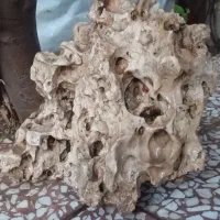 سنگ آکواریوم