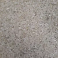 فروش نیم دانه کامفیروزی